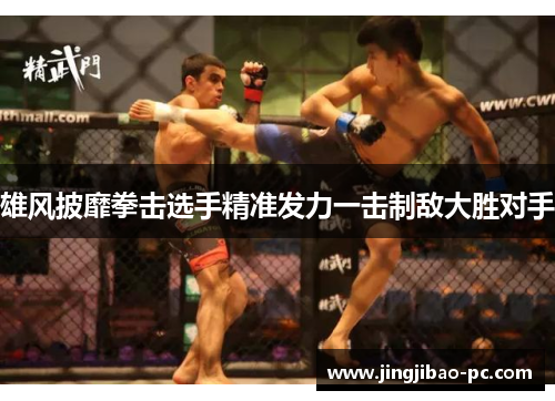 雄风披靡拳击选手精准发力一击制敌大胜对手