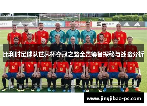 比利时足球队世界杯夺冠之路全景筹备探秘与战略分析
