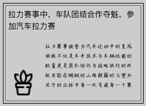拉力赛事中，车队团结合作夺魁，参加汽车拉力赛