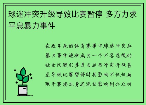 球迷冲突升级导致比赛暂停 多方力求平息暴力事件